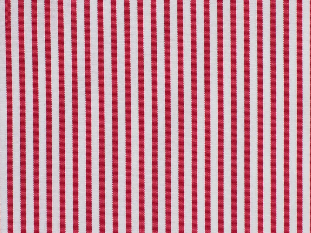 100 % Egyptian Cotton    ( NEW  )